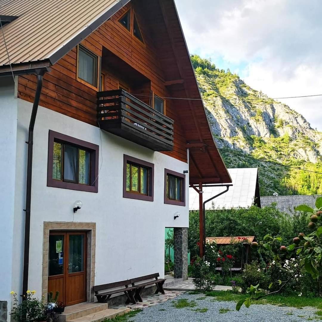 Pensiunea Piatra Mandrutului Scarisoara  Dış mekan fotoğraf
