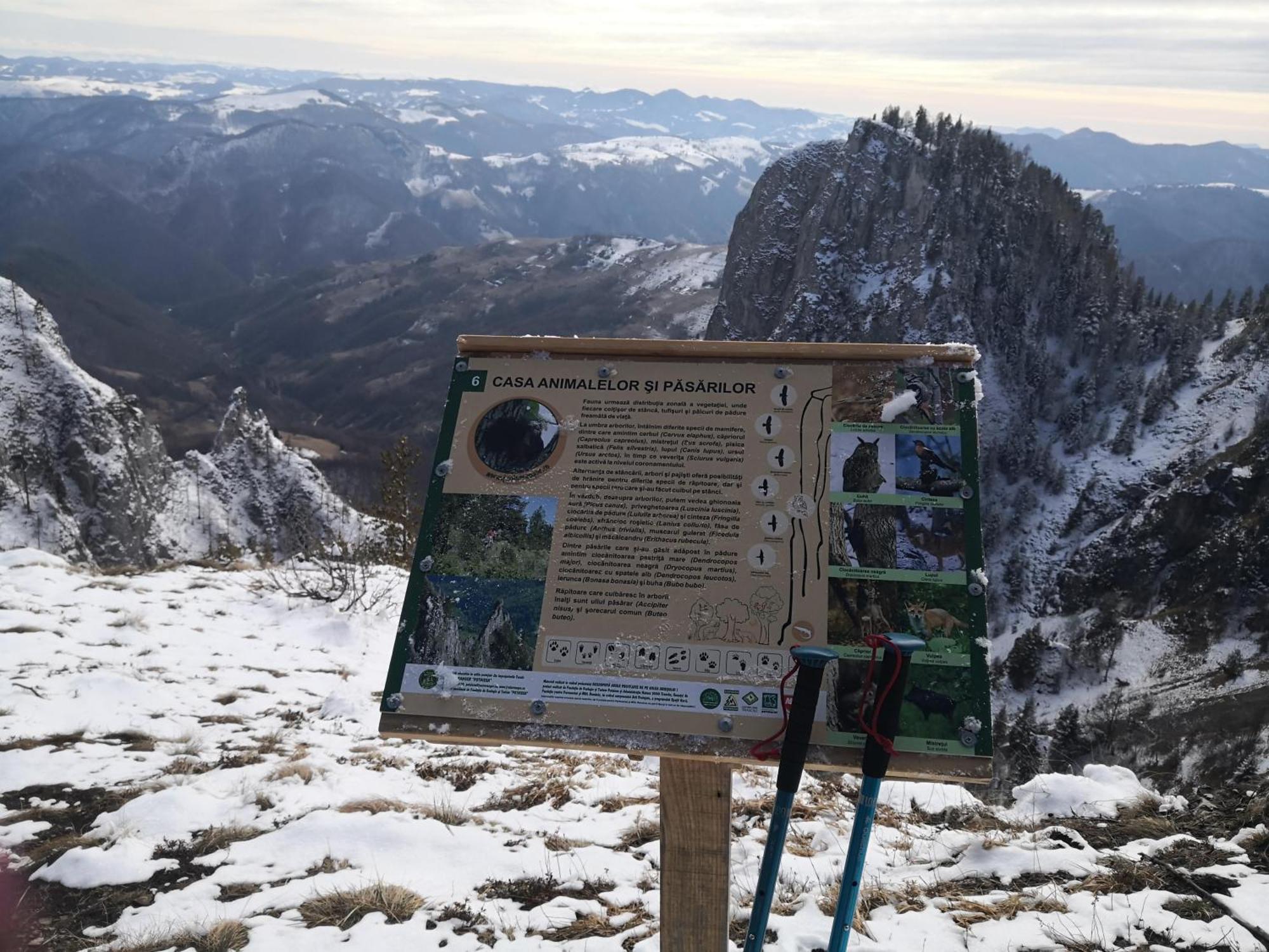 Pensiunea Piatra Mandrutului Scarisoara  Dış mekan fotoğraf