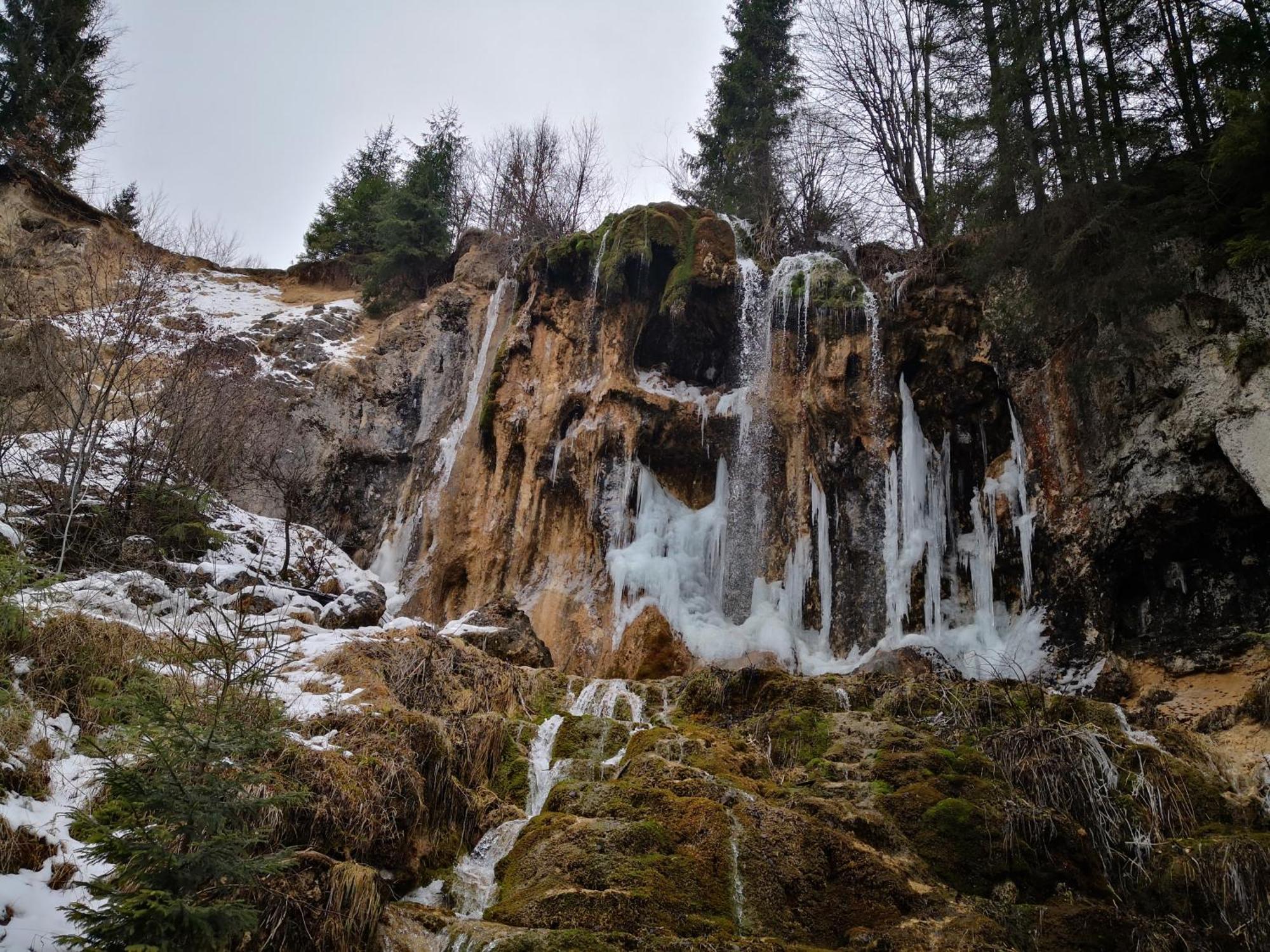 Pensiunea Piatra Mandrutului Scarisoara  Dış mekan fotoğraf