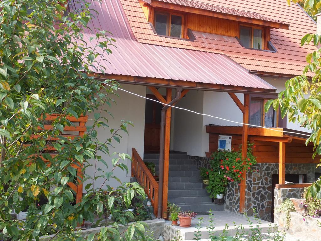 Pensiunea Piatra Mandrutului Scarisoara  Dış mekan fotoğraf