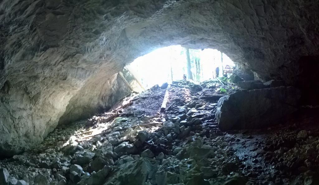 Pensiunea Piatra Mandrutului Scarisoara  Dış mekan fotoğraf
