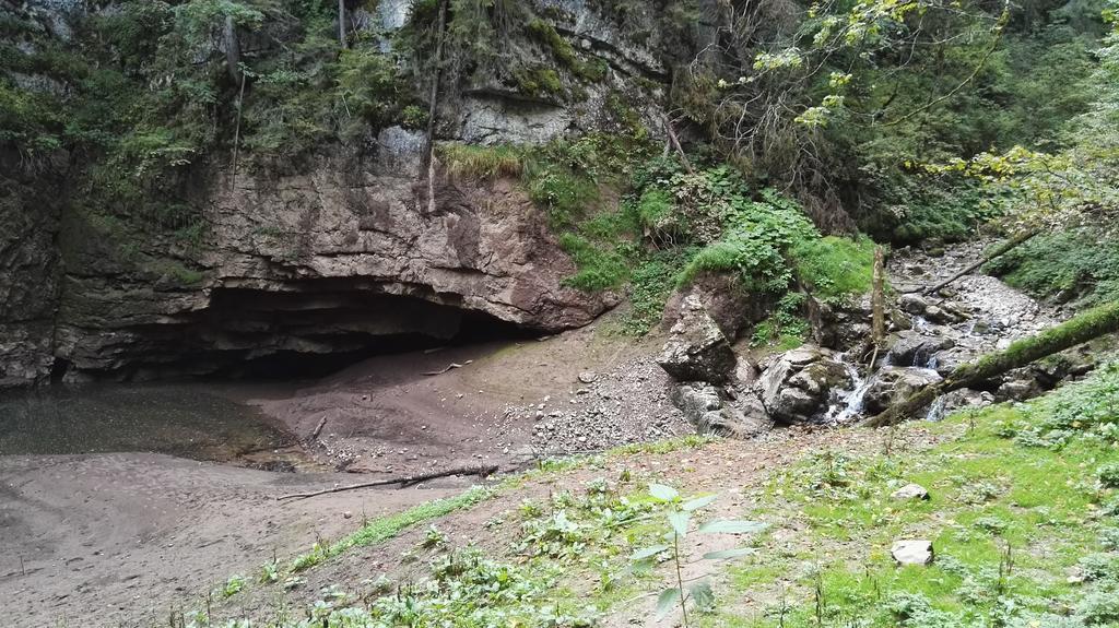 Pensiunea Piatra Mandrutului Scarisoara  Dış mekan fotoğraf