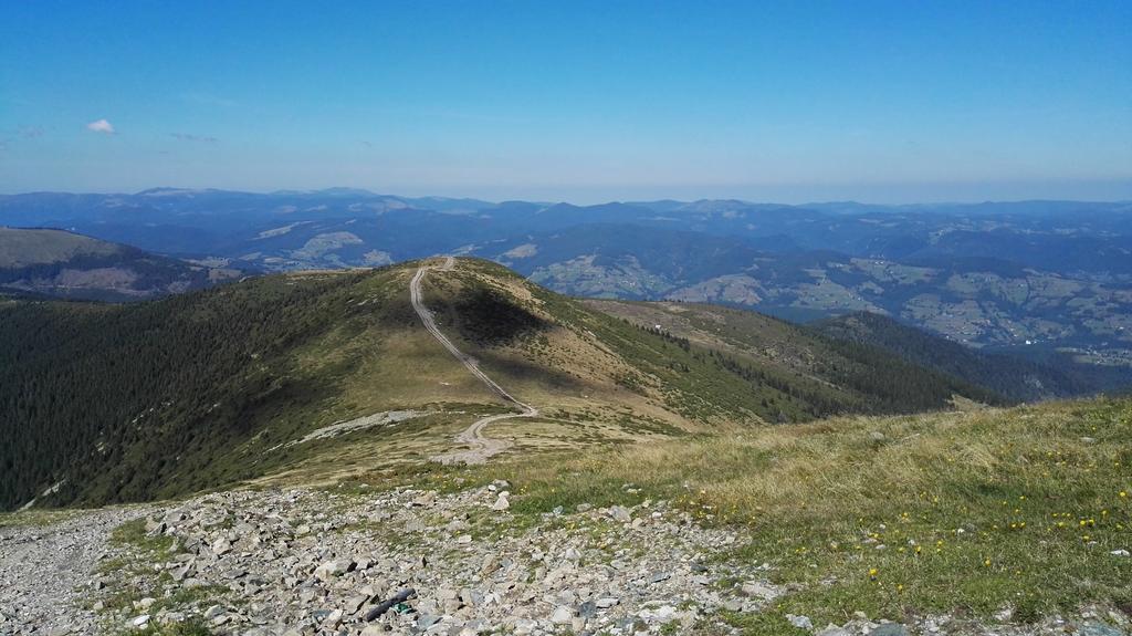 Pensiunea Piatra Mandrutului Scarisoara  Dış mekan fotoğraf