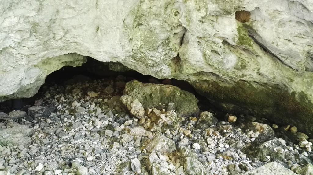 Pensiunea Piatra Mandrutului Scarisoara  Dış mekan fotoğraf