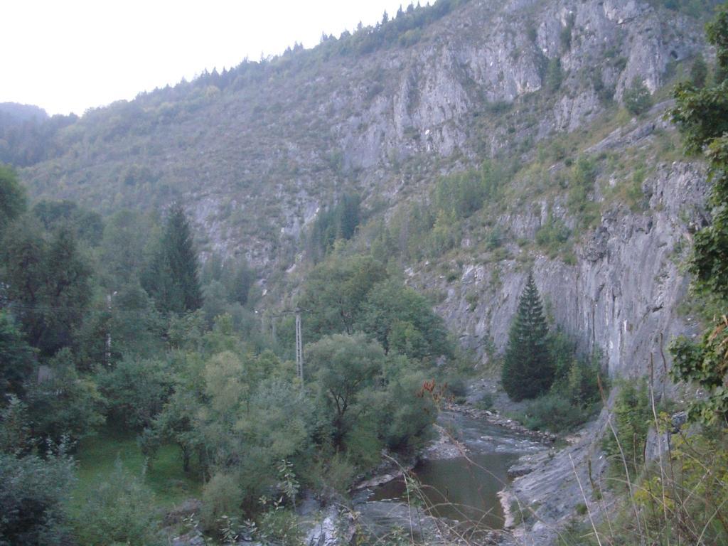 Pensiunea Piatra Mandrutului Scarisoara  Dış mekan fotoğraf